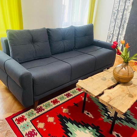 Spacious Stylish Apartment In Old Town 锡比乌 外观 照片